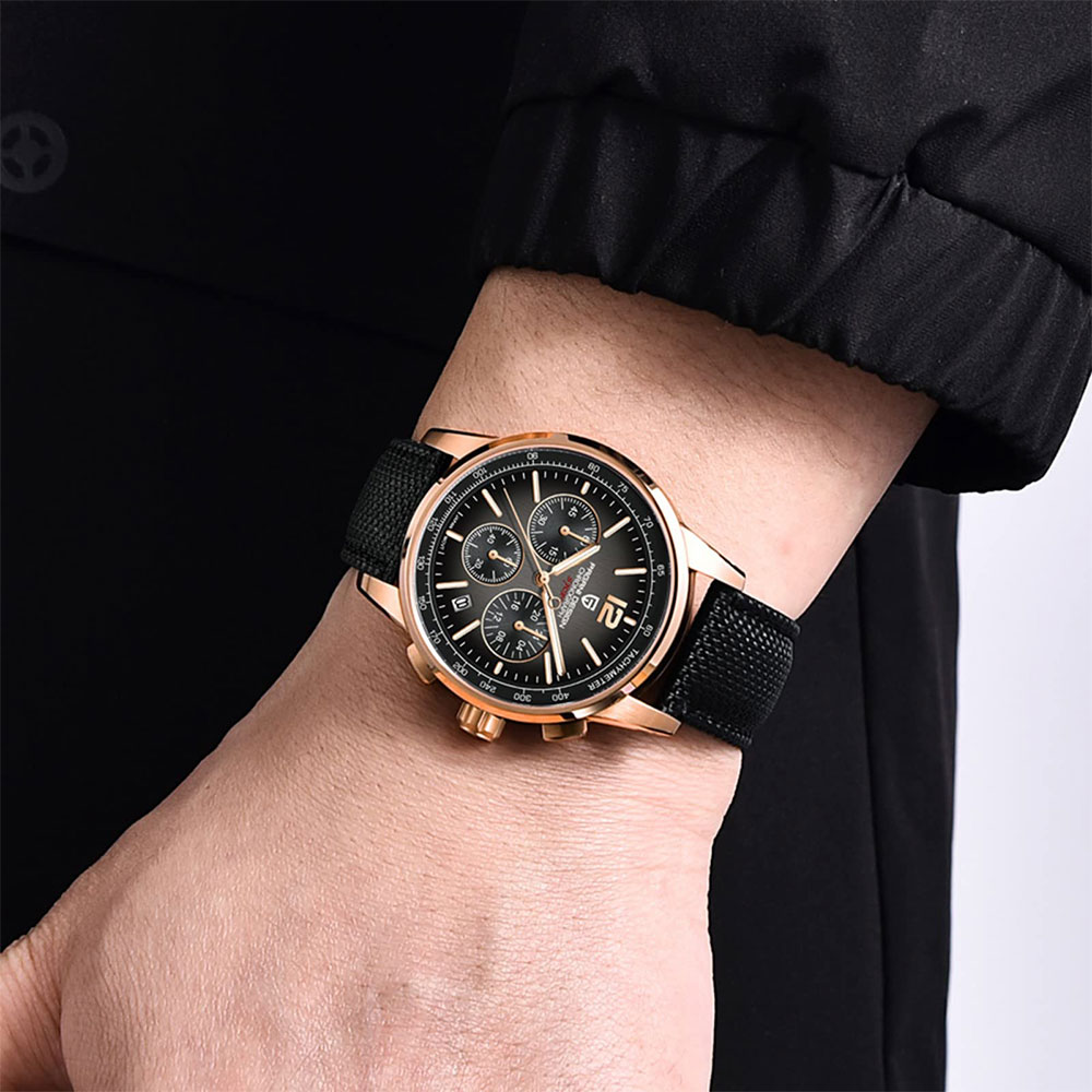 PAGANI DESIGN New Mens Watch 4 - огляд і ціна Luxury Watch Design
